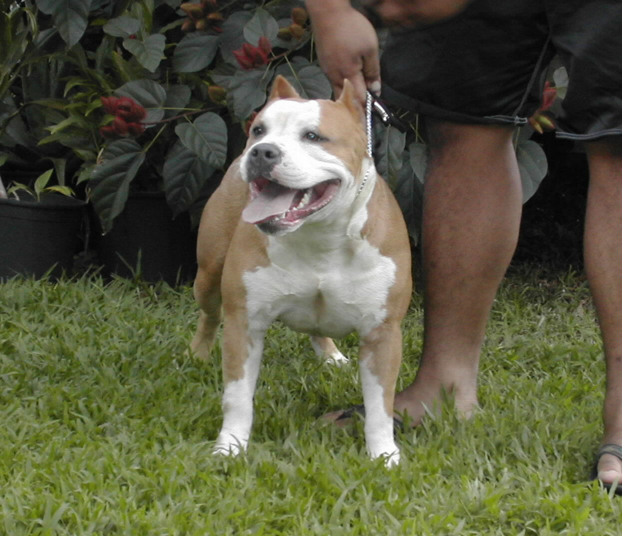 roxy3.jpg